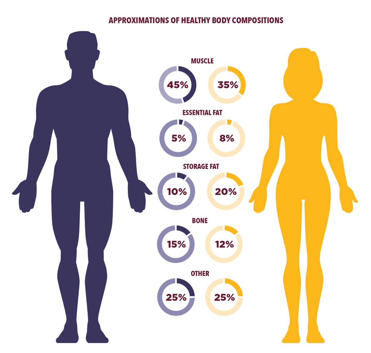 Understanding Body Composition Beyond Weight