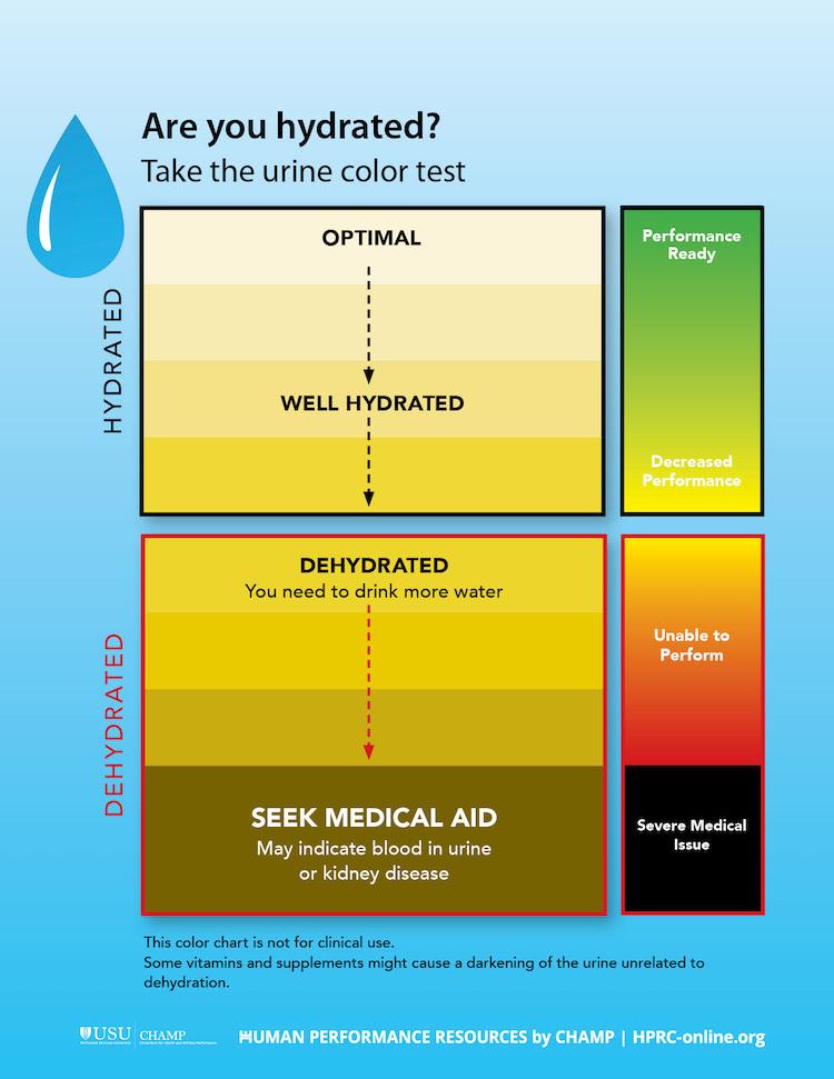 Effective ⁢strategies for Maintaining Optimal Hydration‍ Levels