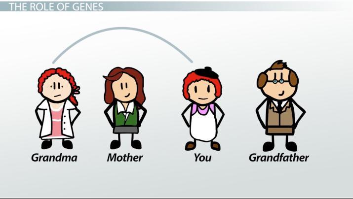 Tailoring Your Fitness Regimen to Genetic Insights