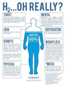Hydration's Role in Curbing Hunger and Reducing Caloric Intake