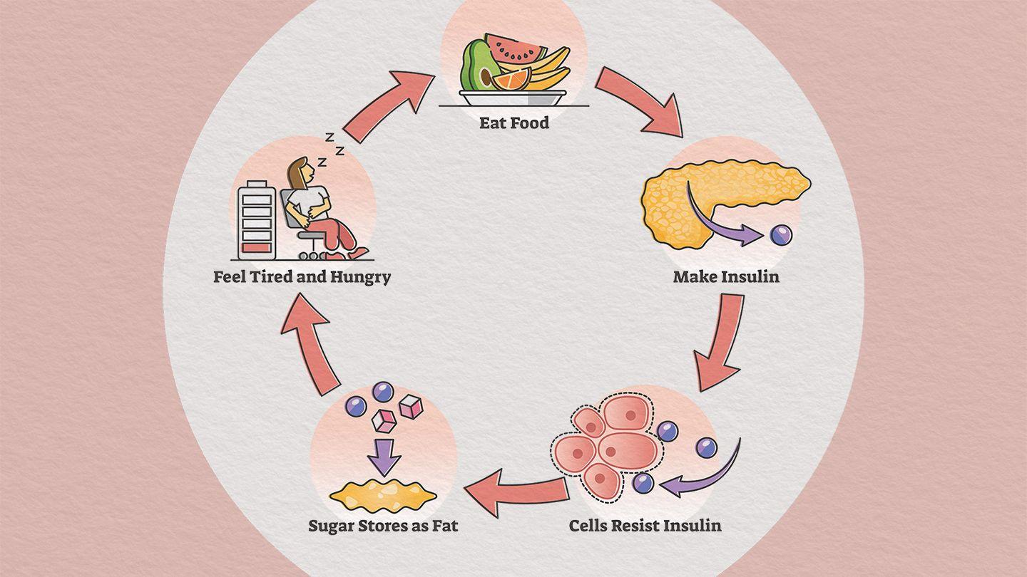 Insulin Resistance: How Blood Sugar Can Hinder Your Progress