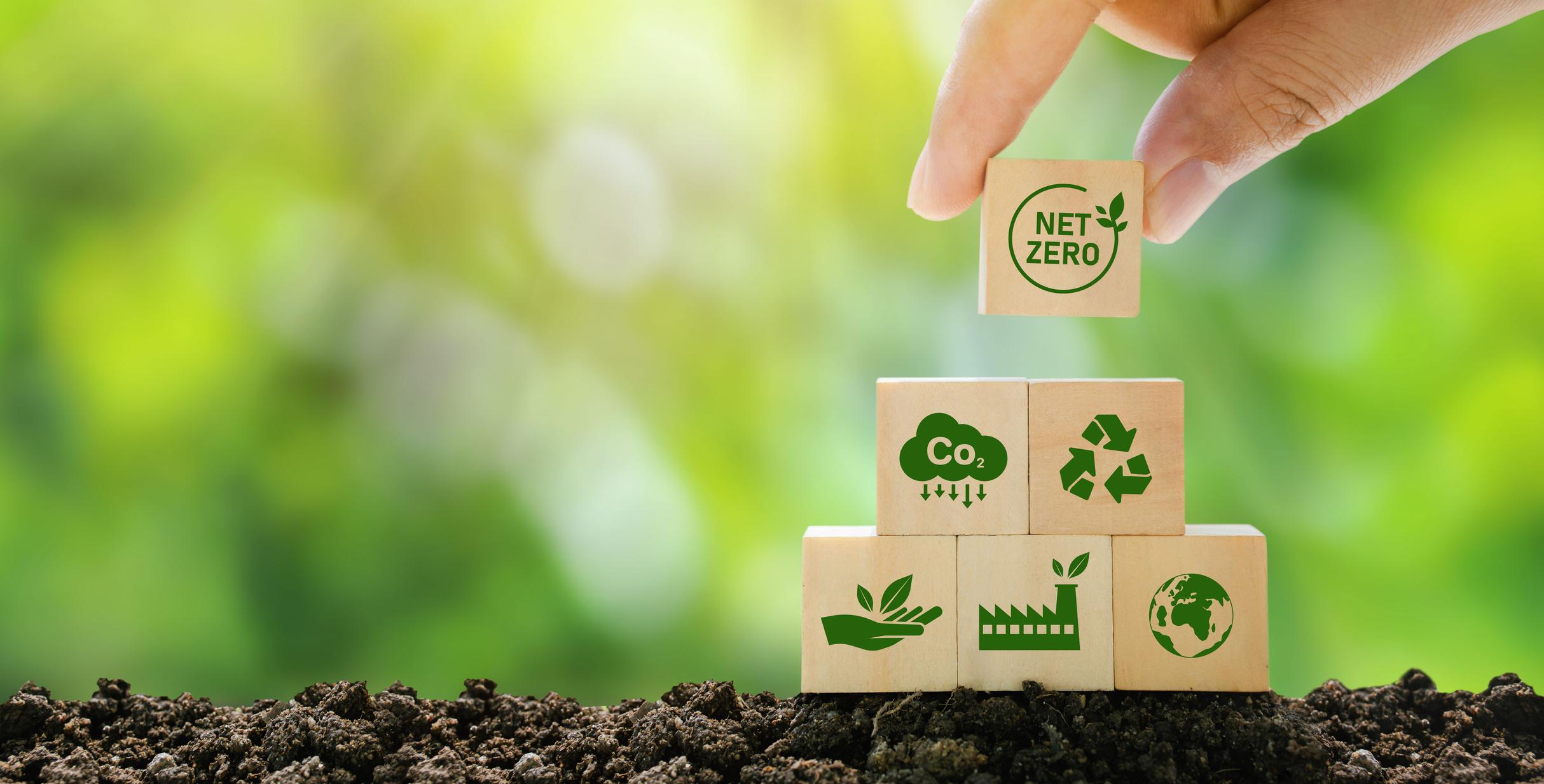 Sustainable Strategies: Habits and ​Routines that Make a Difference