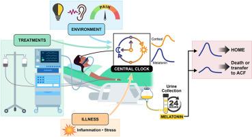 The Science Behind Melatonin Disruption and Sleep Cycles