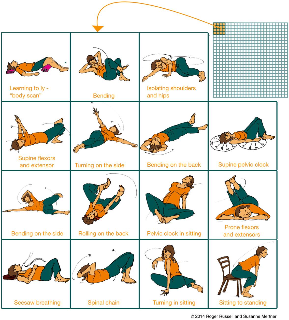 Mindful Movement: How Yoga and Pilates Can‌ Support⁤ Your Metabolic ​Goals