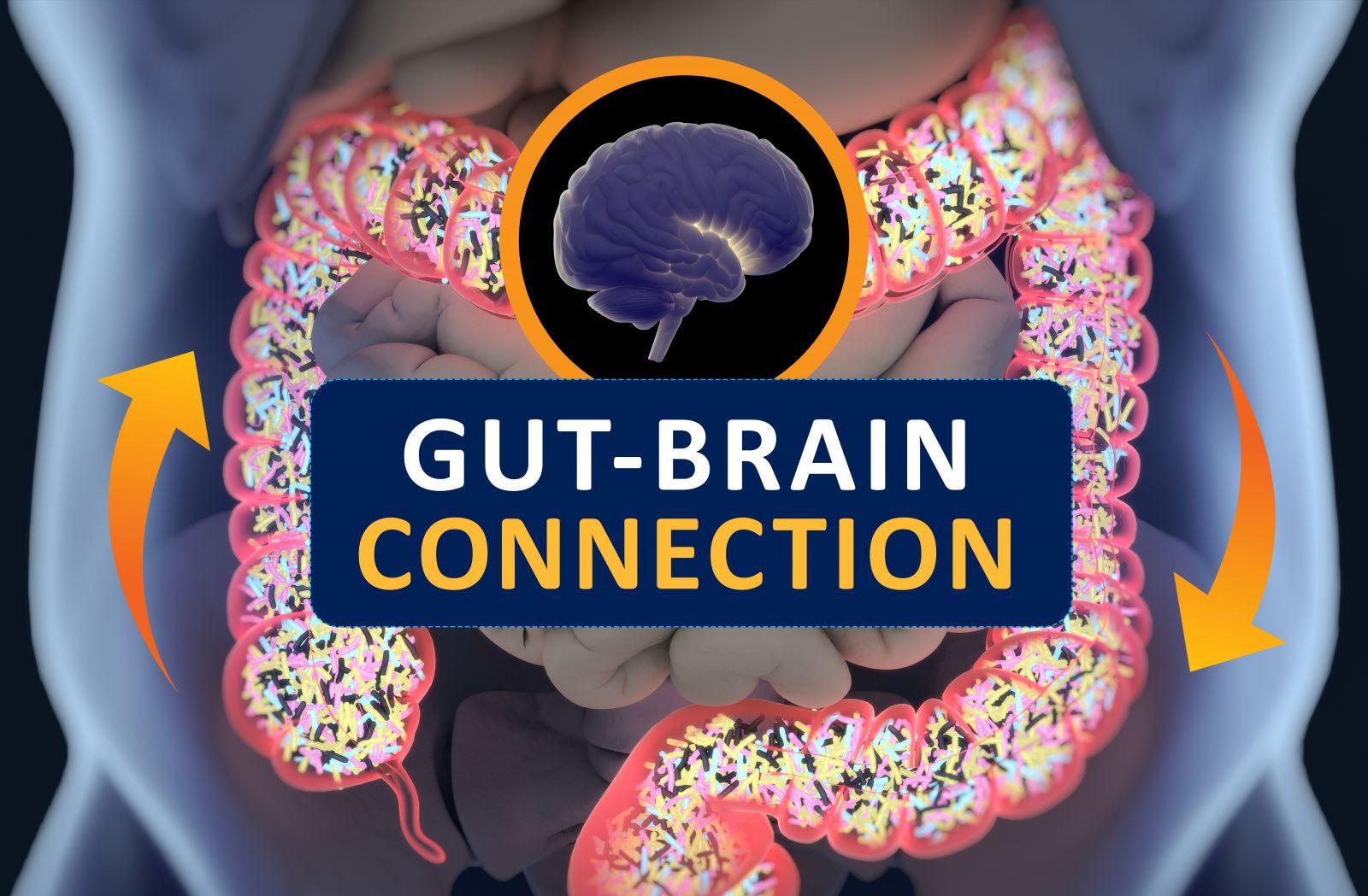 The Mind-Gut ​Link: Practical tips⁢ for Enhancing‌ Mental⁢ Wellness
