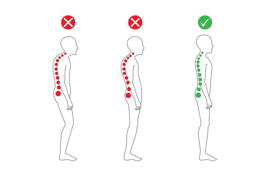The Impact of Posture and Movement on Fat Loss