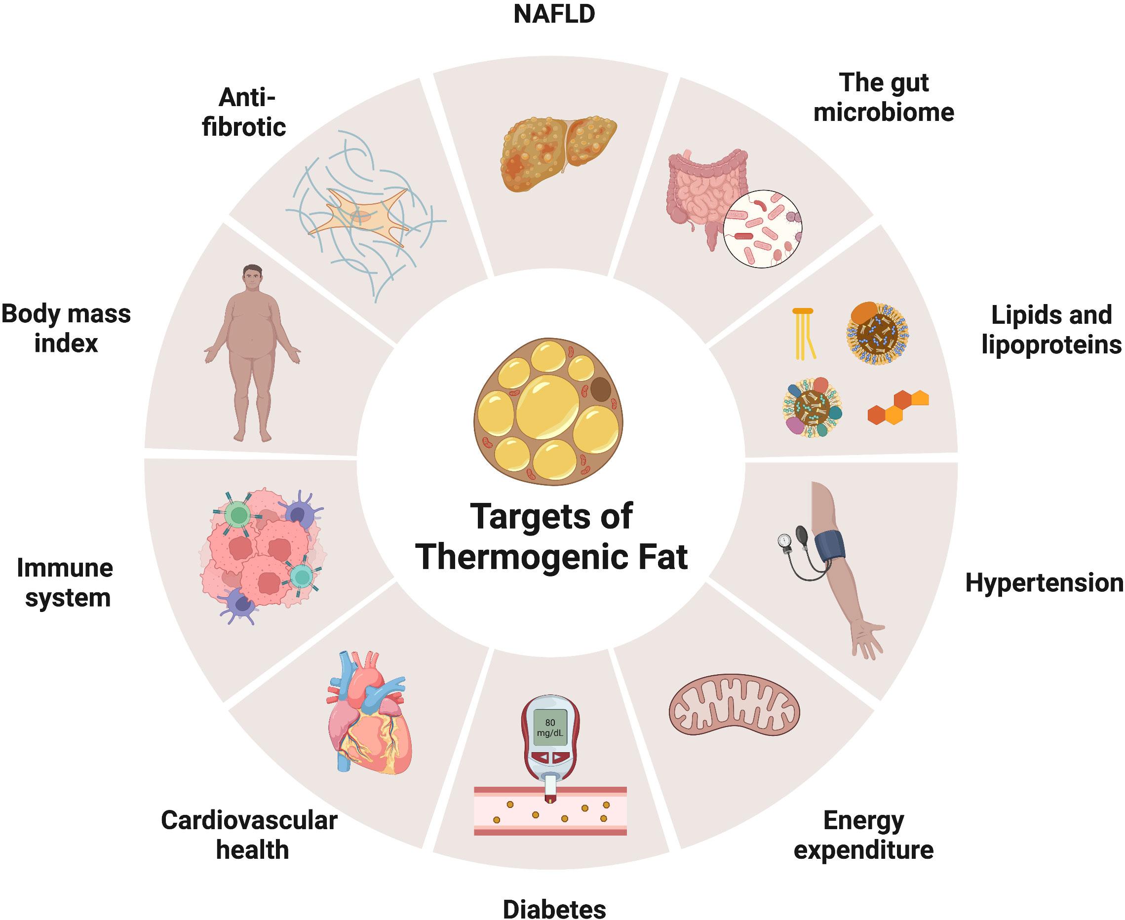 Practical Strategies for Enhancing Thermogenic‍ Response During Winter⁢ Months