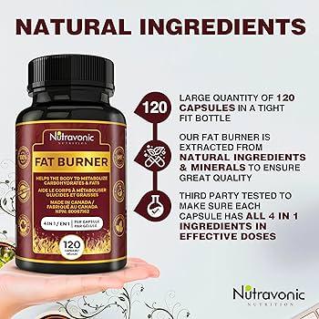 Key‌ Ingredients That Enhance Fat-Burning Potential