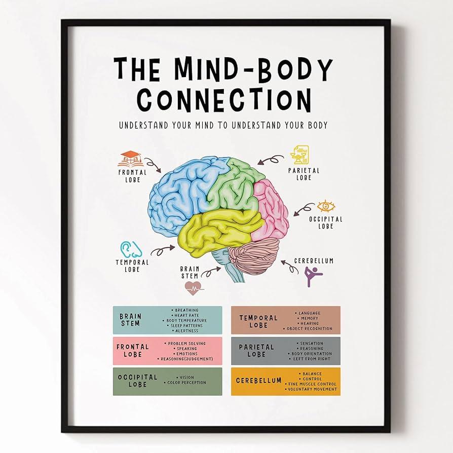 Exploring the Mind-Body Connection: The Science Behind Yoga and Pilates