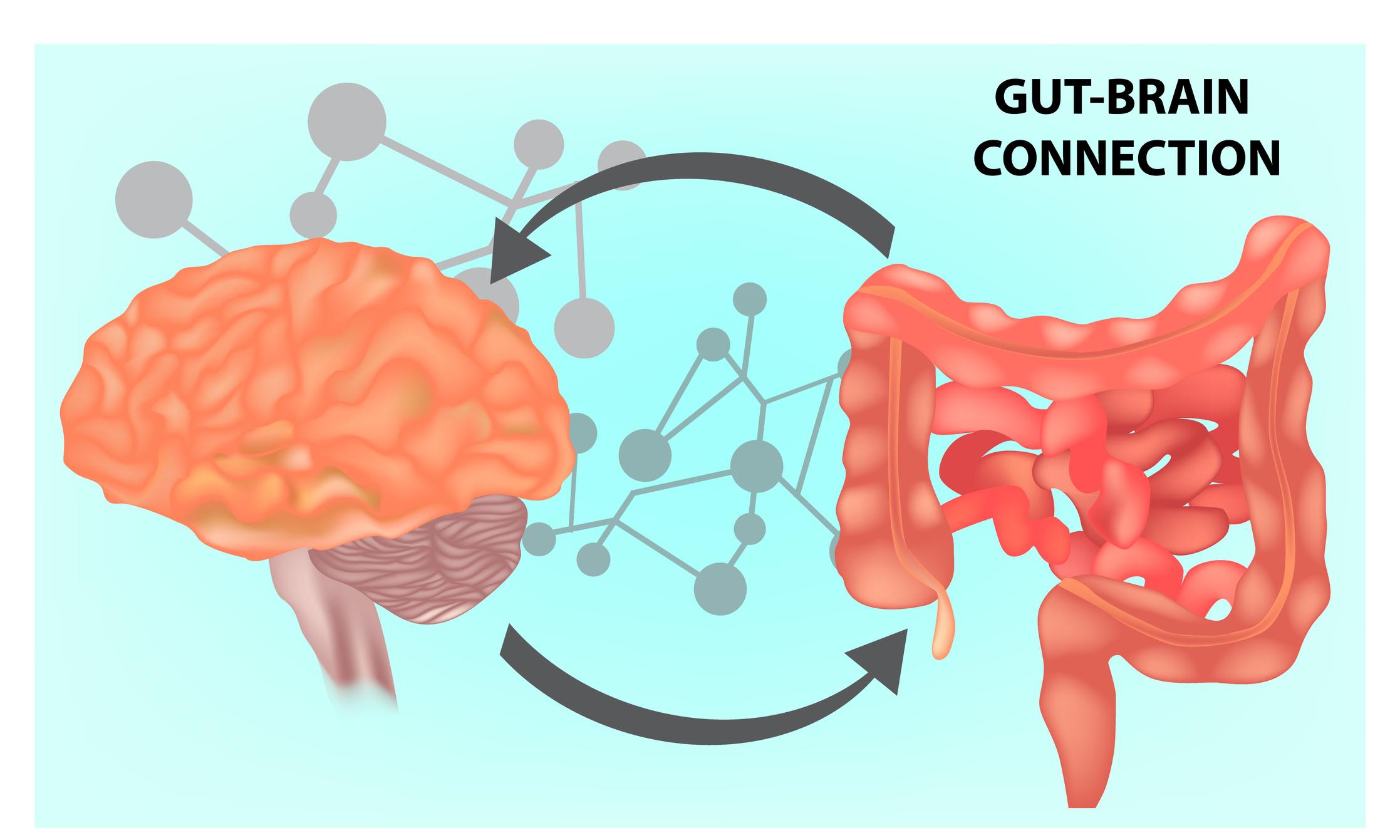 Nourishing Your ⁤Gut:⁤ Dietary Strategies ⁤for a Happier Mind