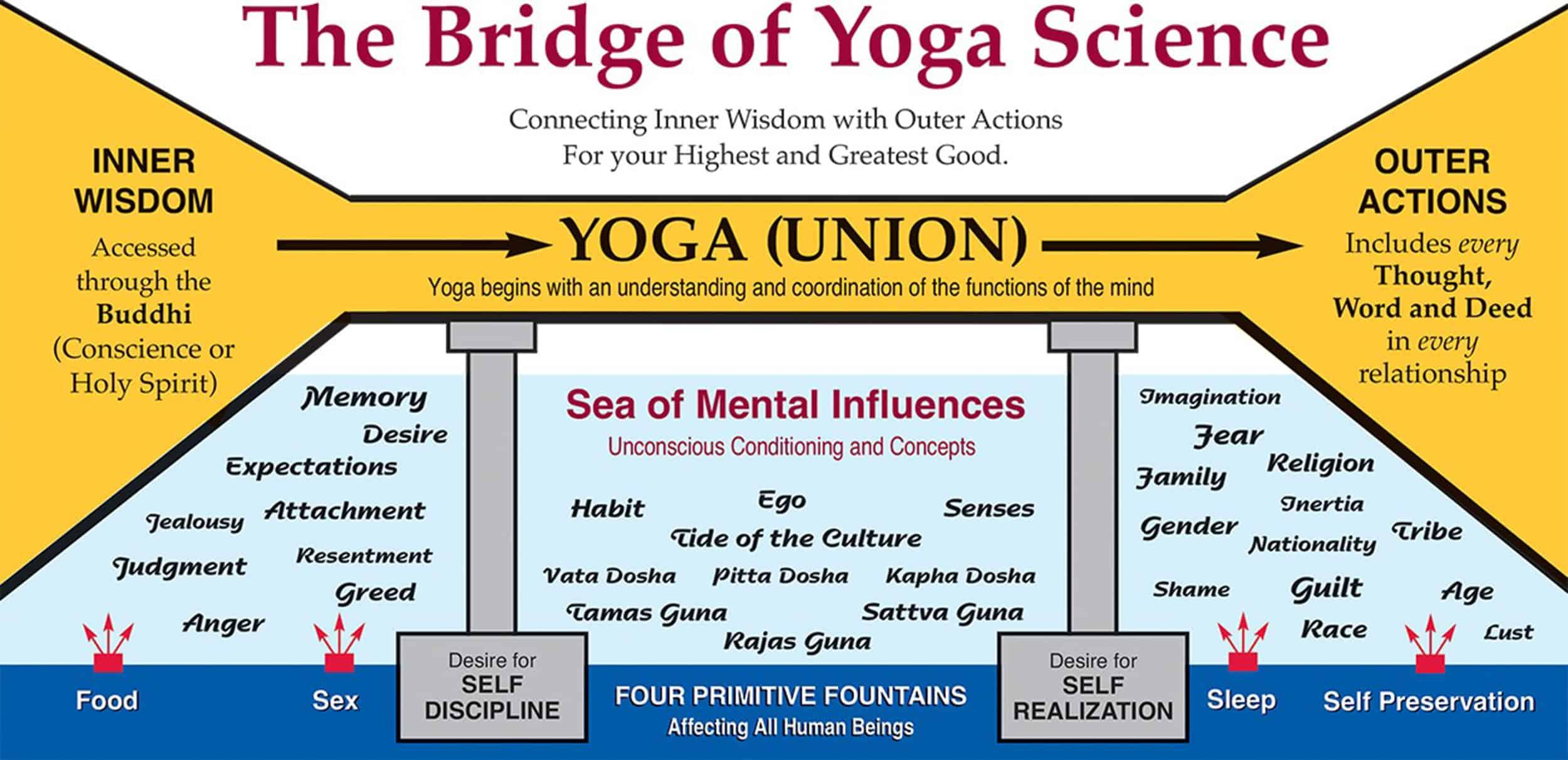 Yoga & Pilates Science & Benefits