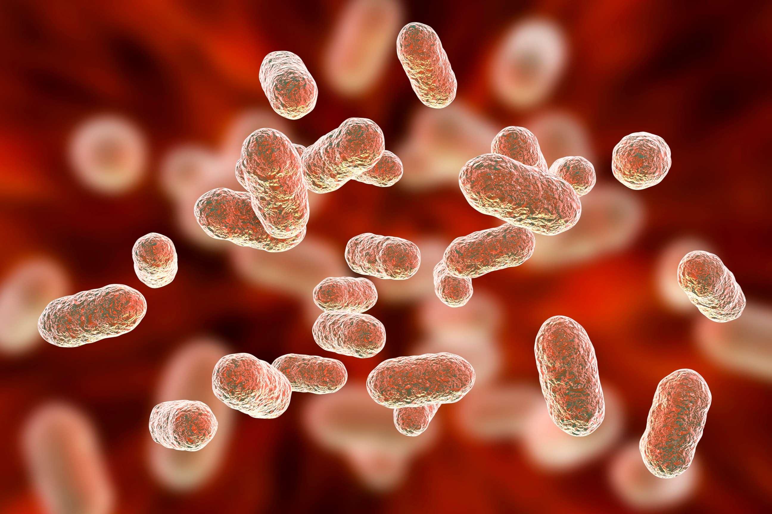 The⁣ Science⁣ of Mood Regulation: How Gut Bacteria Influence Emotions