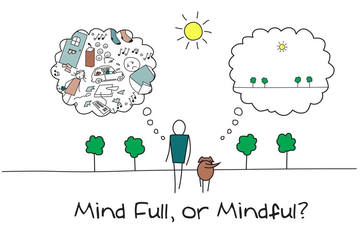Mindfulness and Behavior Change: The Hidden Keys to Success