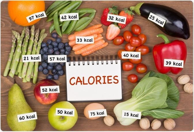 Overcoming the Myths Surrounding Caloric ​Intake and Expenditure