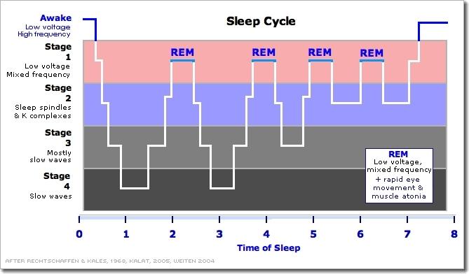 Understanding‌ Sleep Cycles ⁤and Their‍ Impact ‍on Recovery