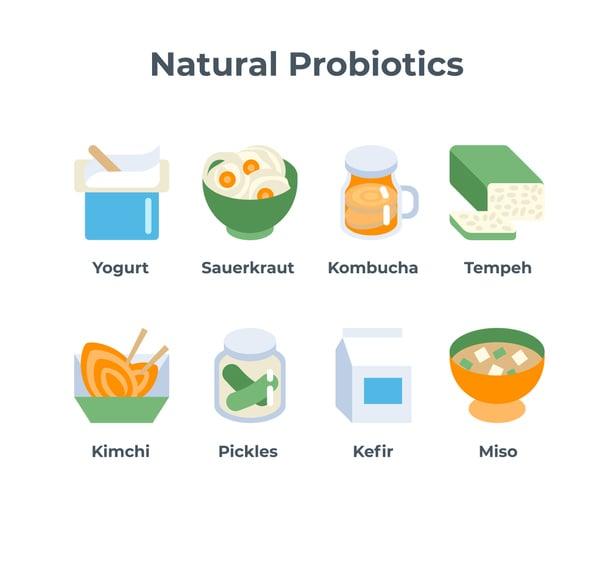 natural Sources of Probiotics for a Healthier Microbiome