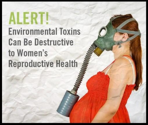 Practical Steps to Minimize Toxin Exposure and Support Wellness
