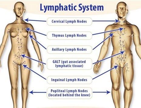 Understanding Lymphatic Drainage Techniques for Enhanced Detox Success