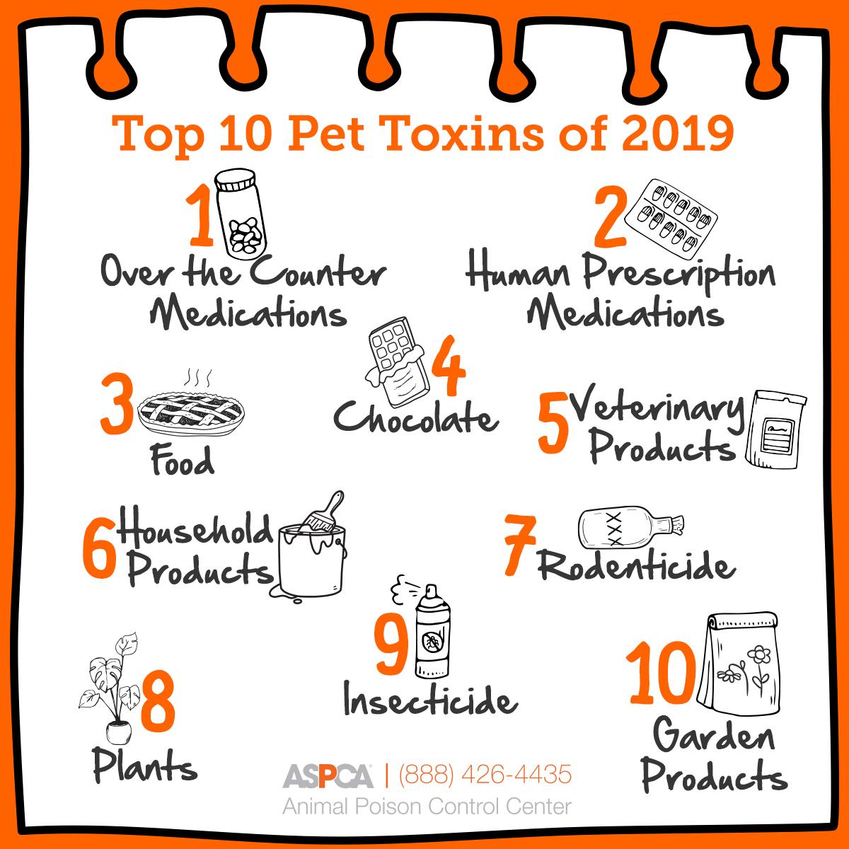 Identifying Common Toxins and Their Impact on the Immune System