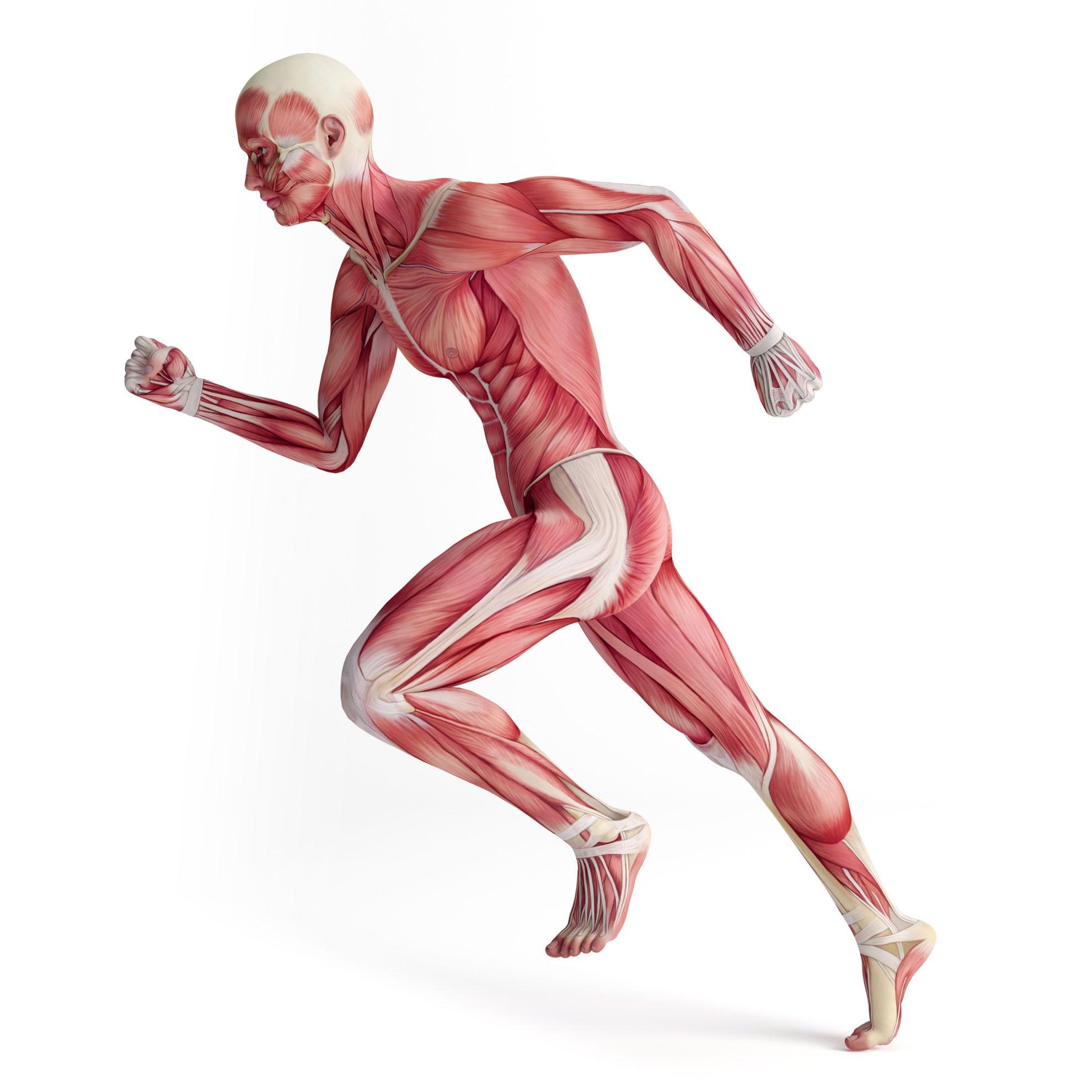 Integrating Movement and ⁣Rest for ​Optimal Wellness
